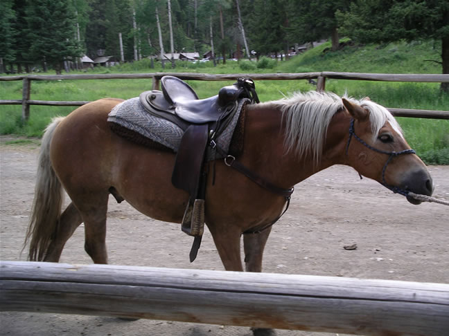 images/Cookout trip (6).jpg